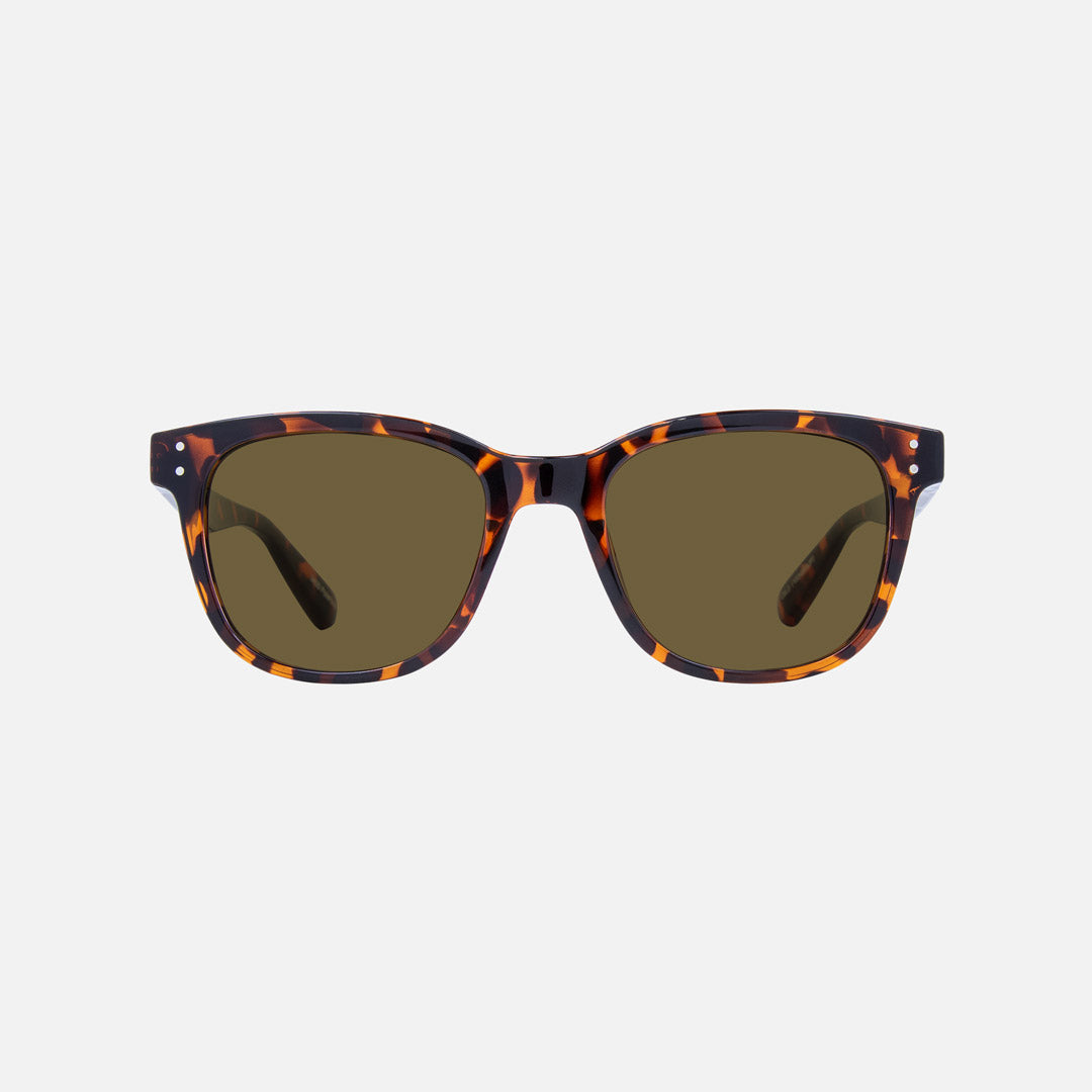 eyewear_Sunglasses~Brown Polarized