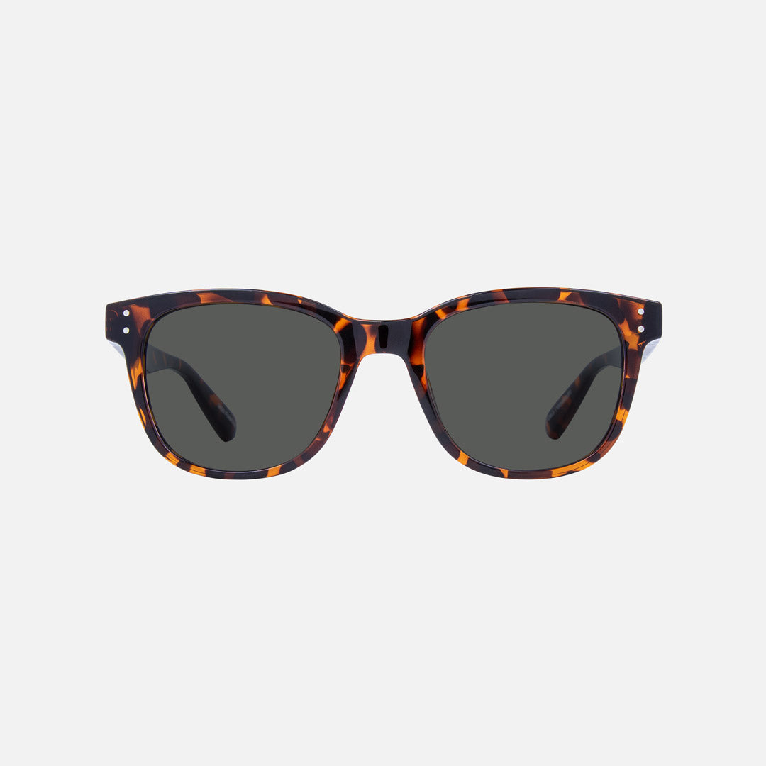 eyewear_Sunglasses~Grey Polarized