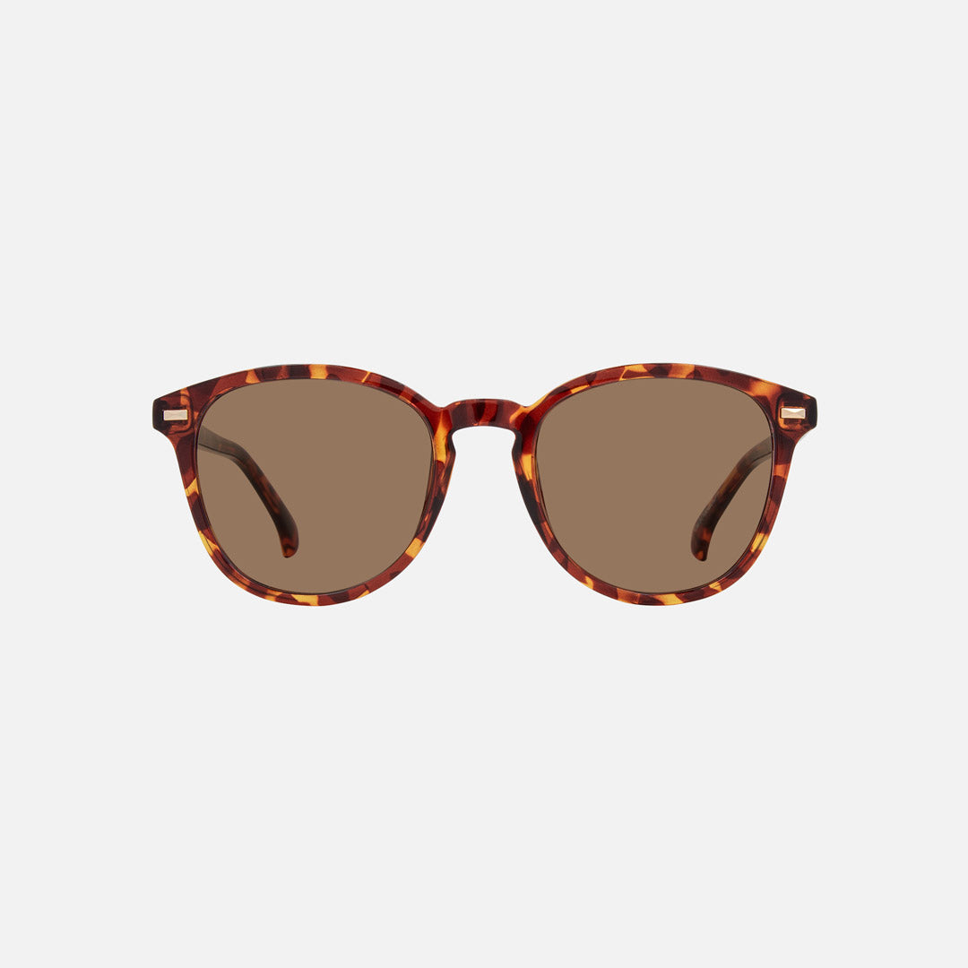 eyewear_Photochromic~Chromatic Brown