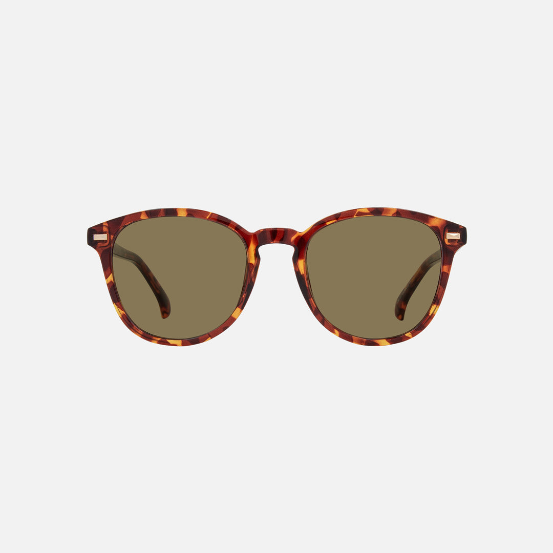 eyewear_Sunglasses~Brown