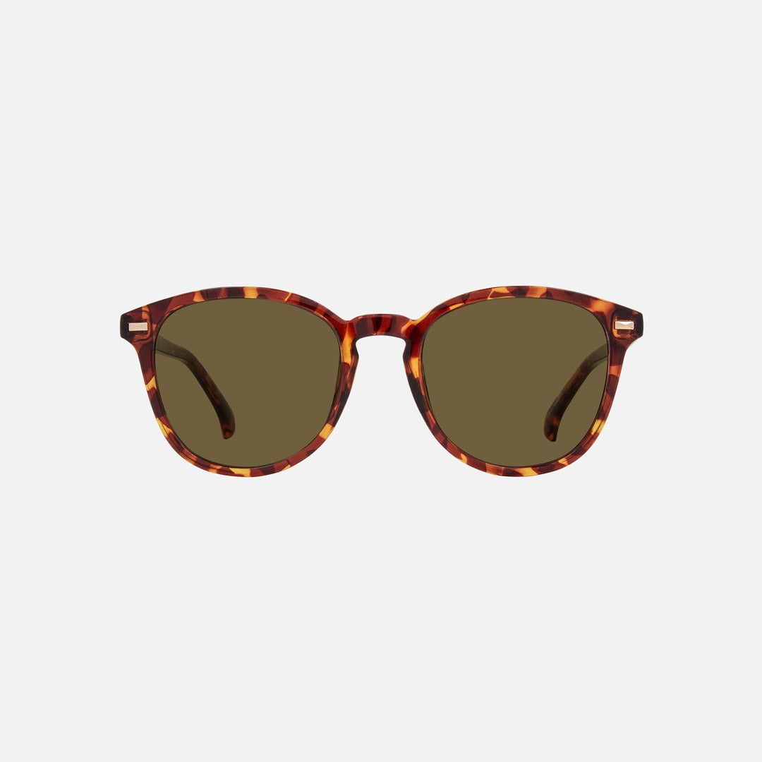 eyewear_Sunglasses~Brown Polarized