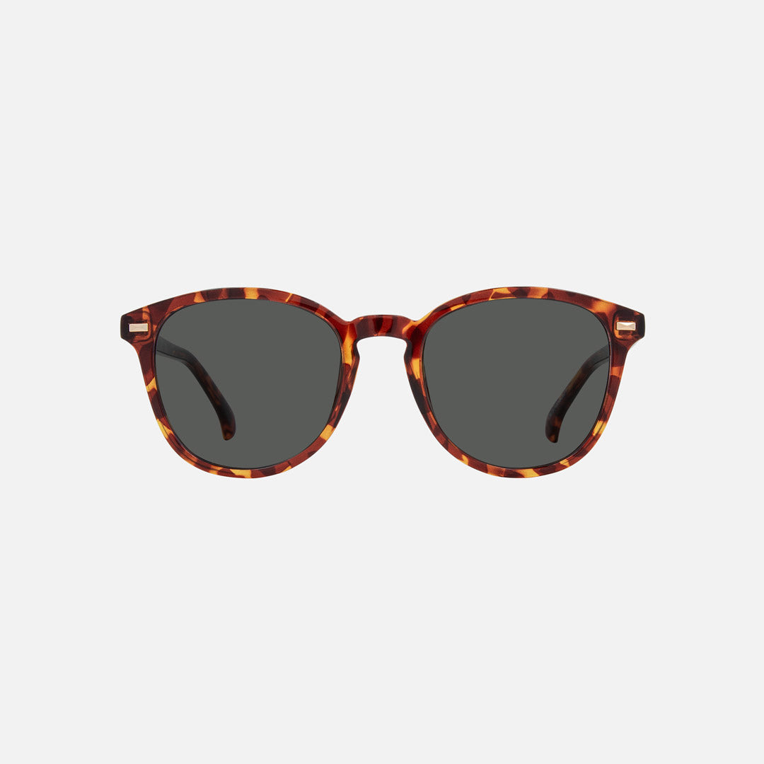 eyewear_Sunglasses~Grey Polarized
