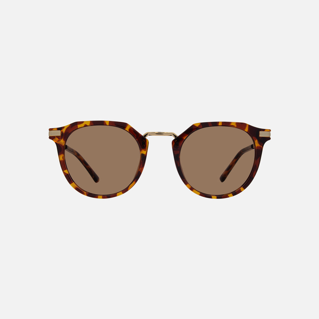 eyewear_Photochromic~Chromatic Brown