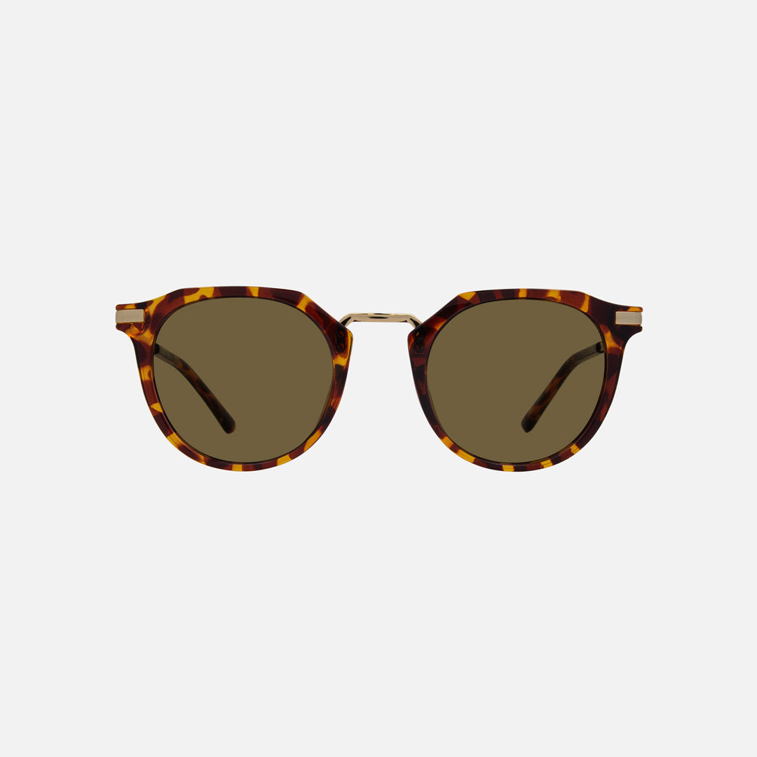 eyewear_Sunglasses~Brown Polarized