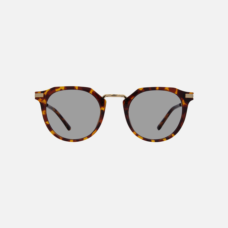 eyewear_Sunglasses~Grey