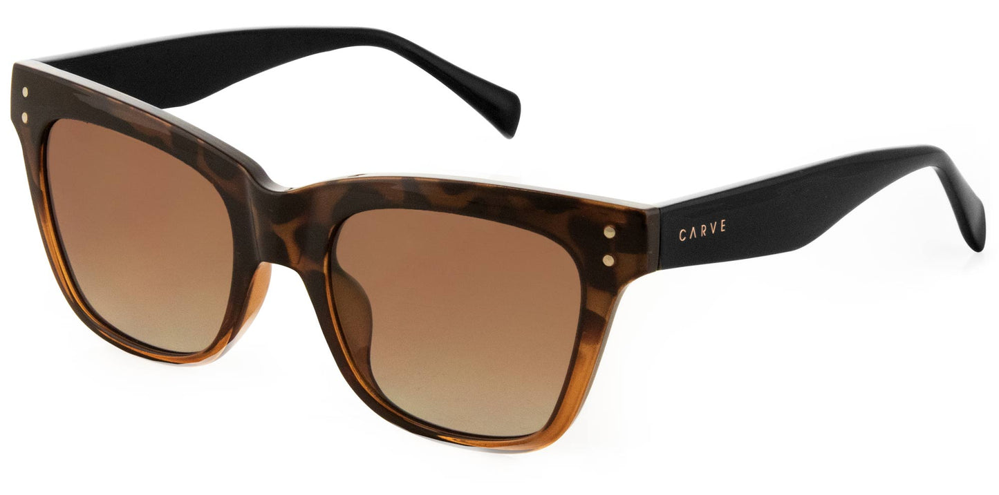 Leopold - Gloss Tort to Tobacco Brown Gradient Lens