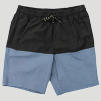 Flying Flag Mens Larger Size Volley Shorts - Blue / Charcoal