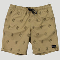 Dry Land - Boy's Volley Shorts - Sand