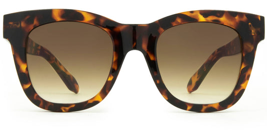 Elba - Gloss Tort Gradient Brown Lens